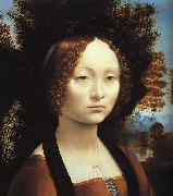  Leonardo  Da Vinci Portrait of Ginerva de'Benci-u China oil painting reproduction